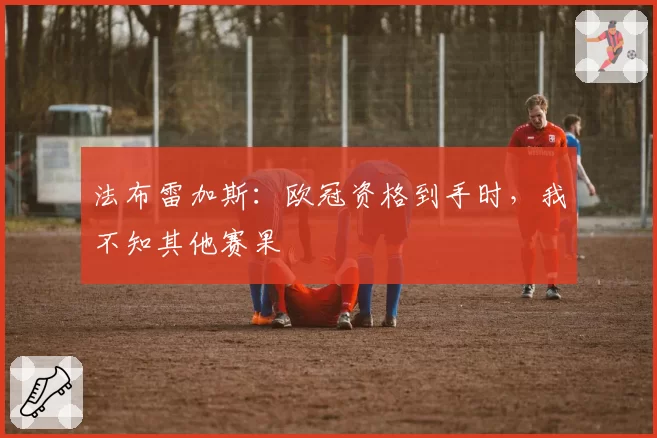 法布雷加斯：欧冠资格到手时，我不知其他赛果